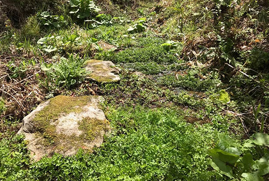 �N���\��