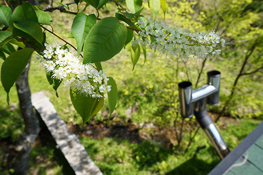 �E���~�Y�U�N��