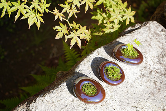 �K���X��i