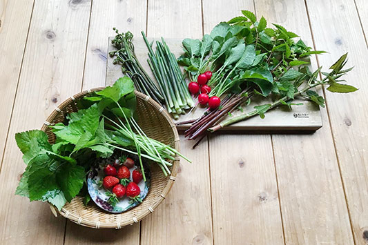 ���f�B�b�V��