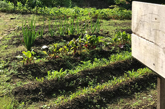 �͂����̗l�q