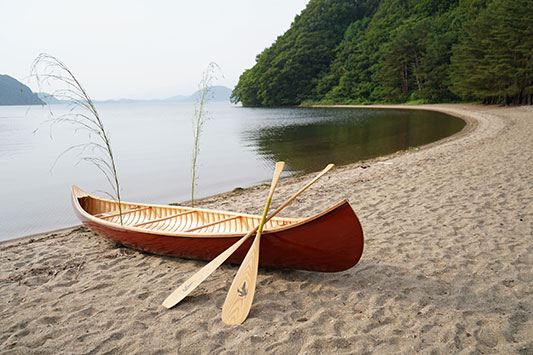 Indian Girl �i����