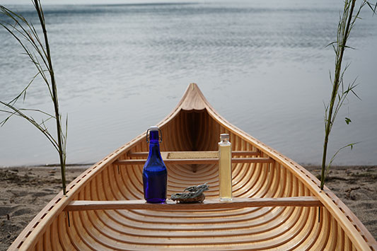 Indian Girl �i����