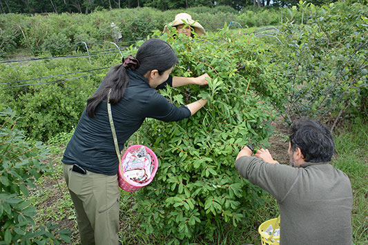 �n�X�J�b�v�E��