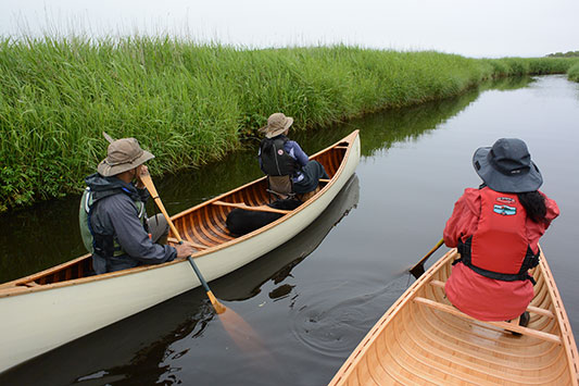 ���i����