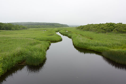 ���i����