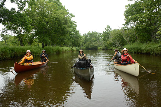 �ʊ��Ӌ���