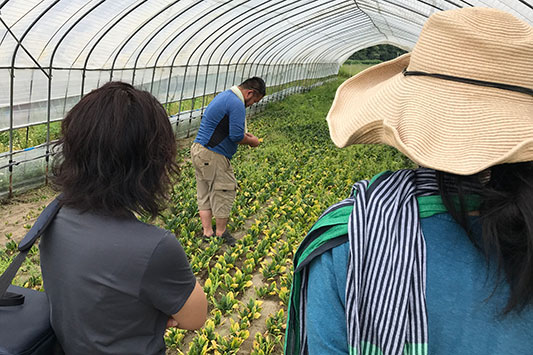 �A�[�g�W�_�@