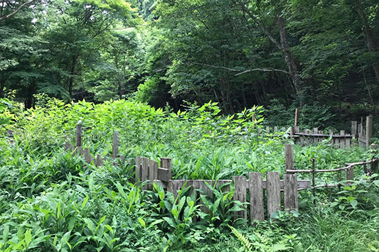 ���ڂ��ڂ�