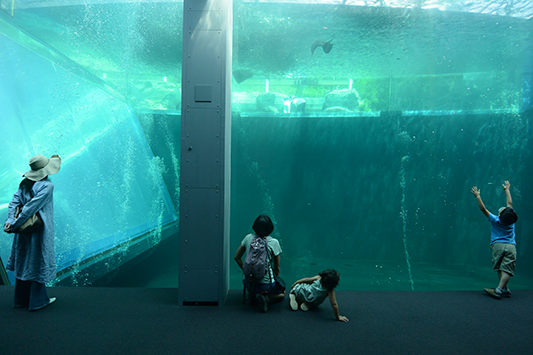 �A�N�A�}�����ɂ�