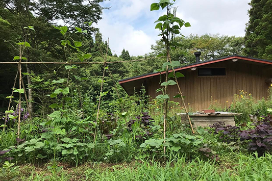 �͂���߃����h�̔�