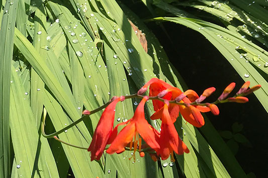 �݂�����