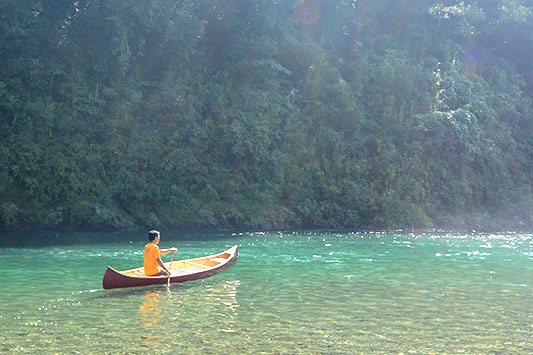 �����Ă�