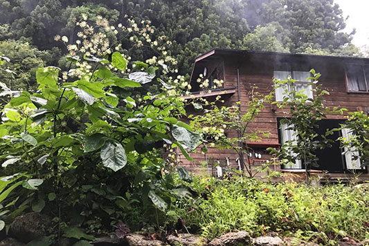 �͂���߃����h