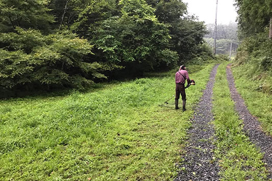 �͂���߃����h