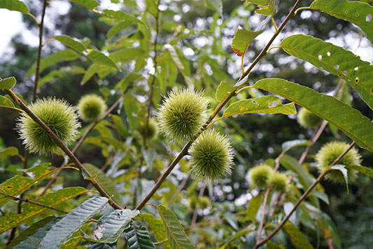 �I�������Ă��܂���