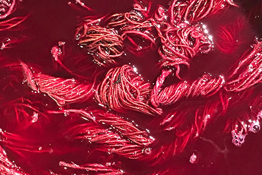 ���߂�ꂽ���R