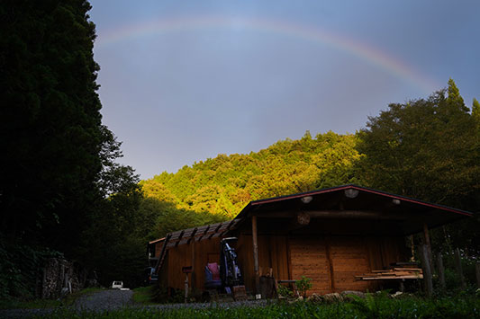 �͂���߃����h�ɓ�