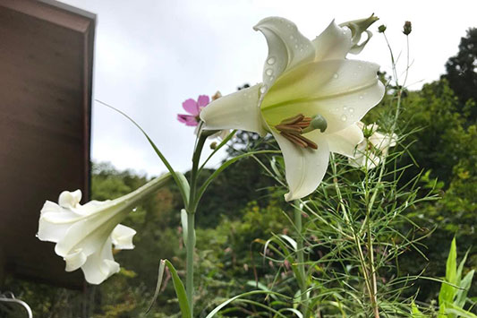 �����̉�