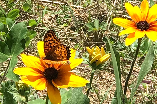 �����N�����Ă����v