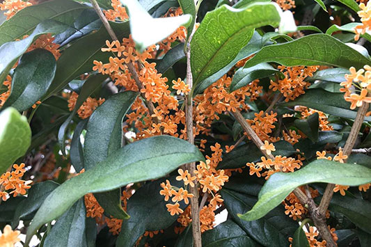 ���؍҂̍���