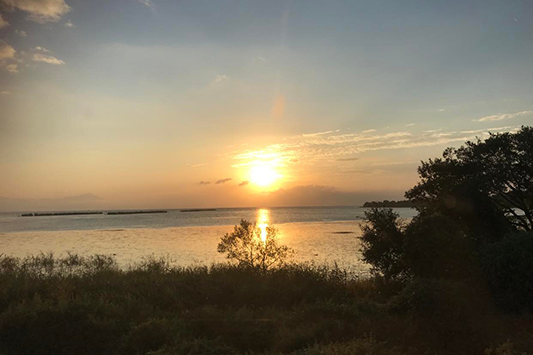 ���i�΂̒�