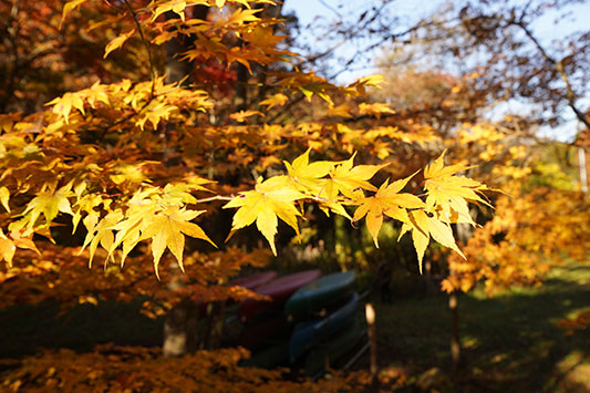 �g�t�����h