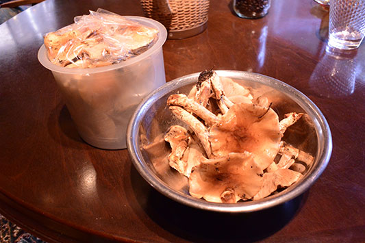 �i���R����͕��˔\���o