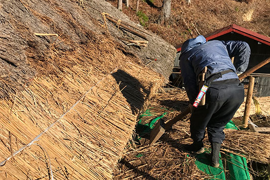 �V���̊���