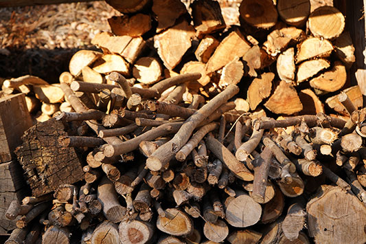 �͂���߃����h�̐d