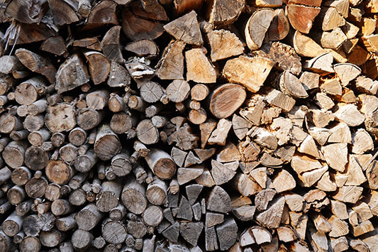 �͂���߃����h�̐d