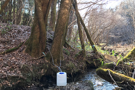 ���[�v���̎��t�搅