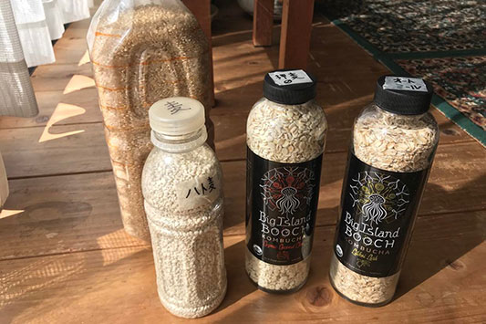 �����[�X�y�b�g�{�g��