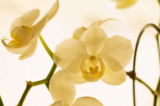 �[���Ɋւ���