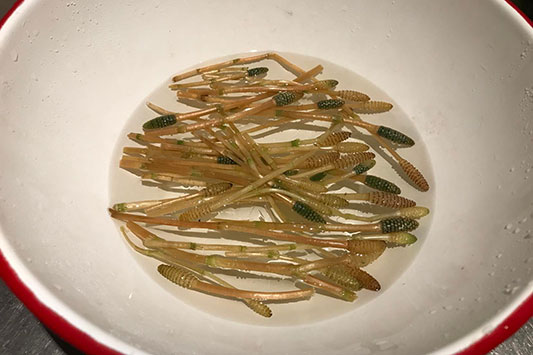 �����̌т���萅�Ő�