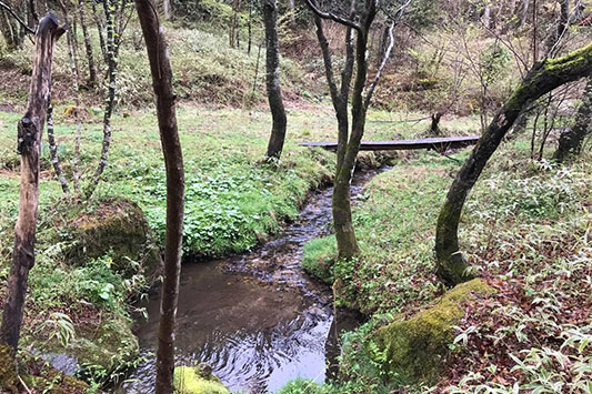 �͂���߃����h���i