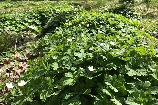 �j�����\�E