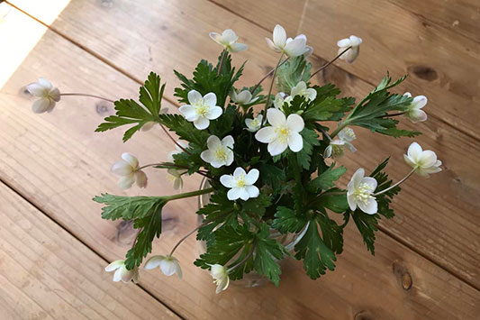 �j�����\�E