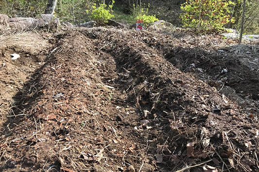 �͂���߃����h���i