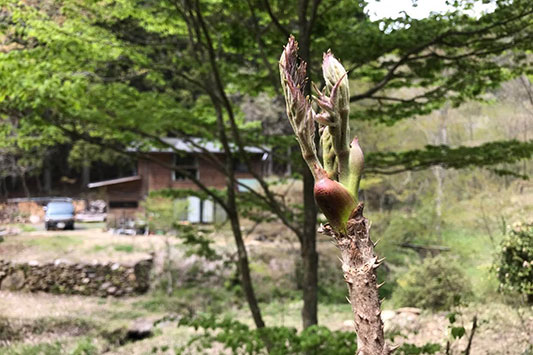 �^���m��