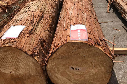 �w�������T������