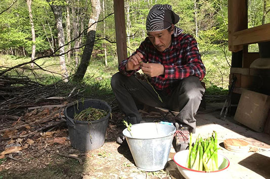 �C�^�h���̔�𔍂�