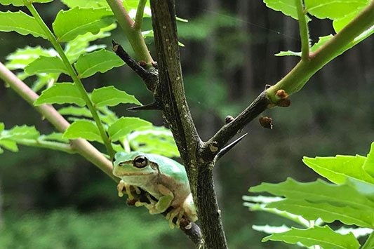 �A�}�K�G��