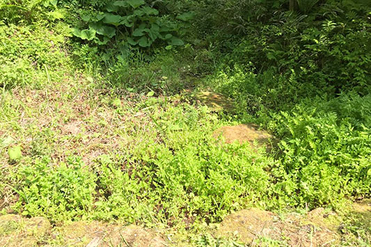 �N���\���ꑐ�����