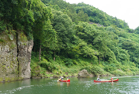 ���R�̌i�F���c��߉ϐ�