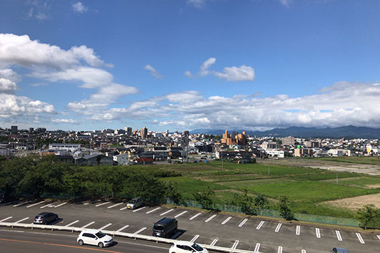 �a������̌i�F