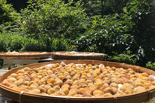 �~�����A�y�p����