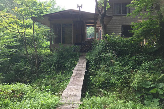 �͂���߃����h�@�����C�ɂ����鋴