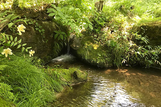 �͂���߃����h�@���ё�