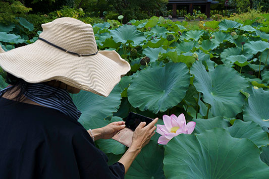 �����ɂ�